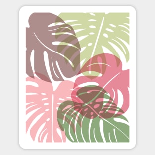 Pattern with tropical monstera leaves. Sticker